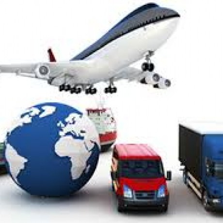 Group logo of TECNICO DI SPEDIZIONE, TRASPORTO E LOGISTICA